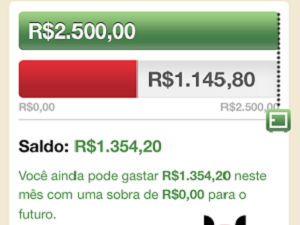 Toshl Finanças permite planejar orçamento por períodos (Foto: Reprodução)